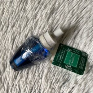 Eucalyptus Snowfall Wallflower